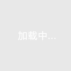 雨燕篮球直播